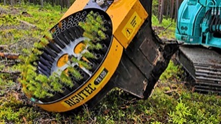 Лесовосстановление Лесовосстановление