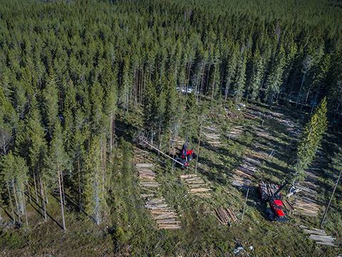 НОВИНКИ! Модели 2020. Komatsu Forest