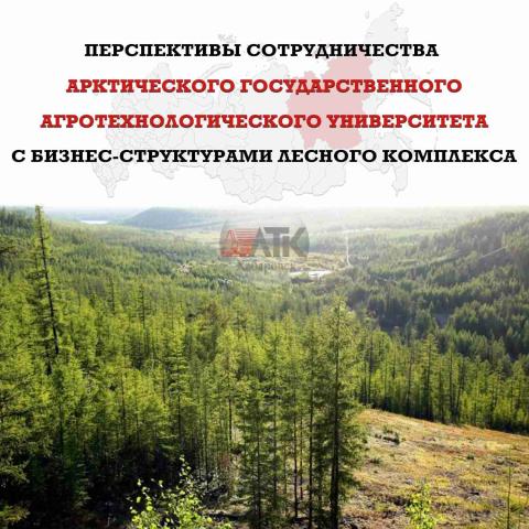 Перспективы...